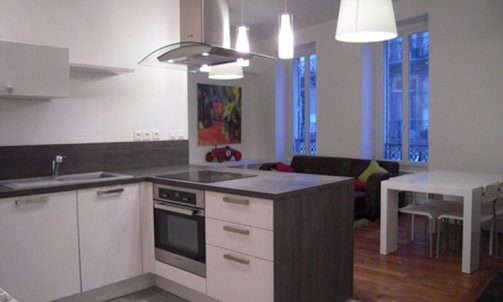 Après Rénovation complète d'un appartement rue docteur Mazet Grenoble